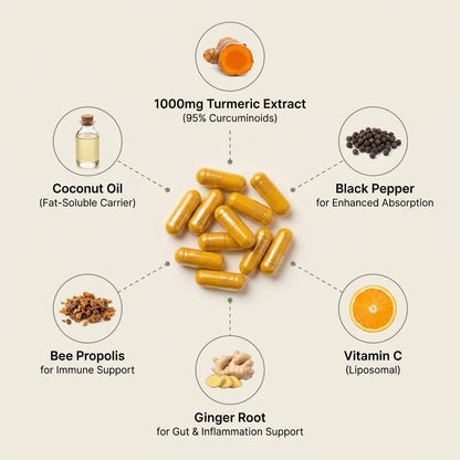 Turmeric Curcumin Capsules (1,000MG)